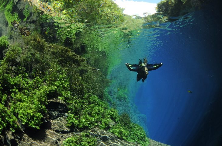Guaicurus News - MS representa o Brasil como destino de ecoturismo em evento internacional no Equador