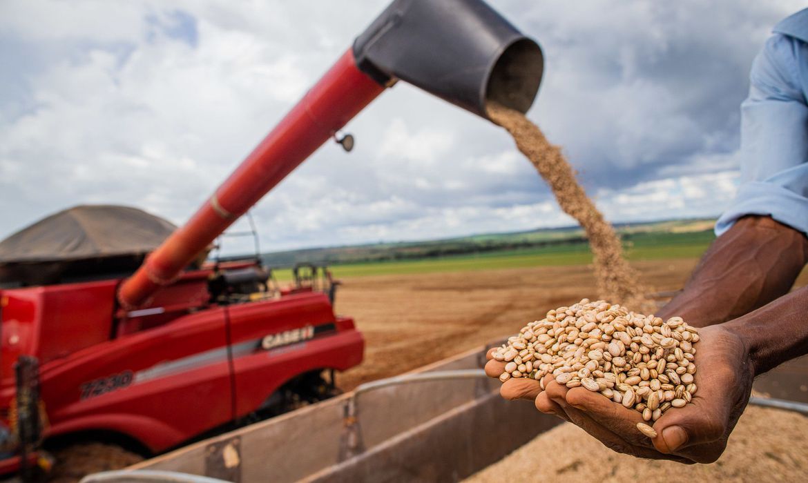 Guaicurus News - Aumento da temperatura vai afetar a produção de feijão no Brasil
