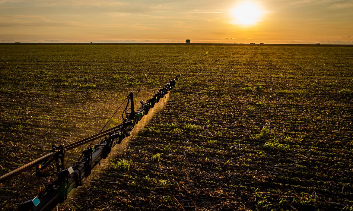 Guaicurus News - IBGE: 32% dos solos do país têm potencial natural para a agricultura