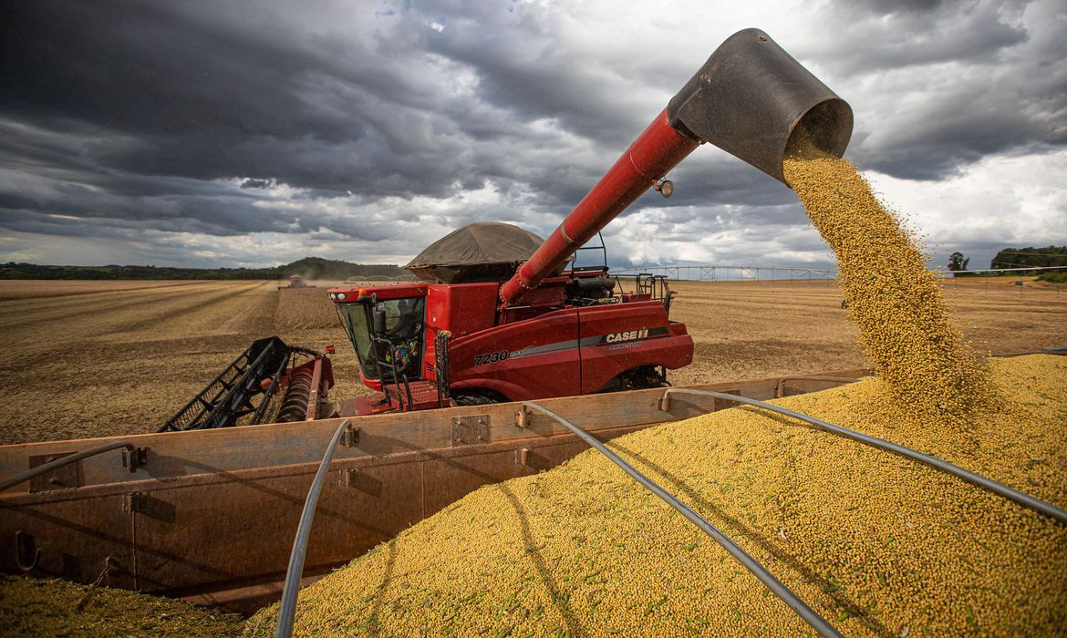 Guaicurus News - IBGE prevê safra recorde de 288,1 milhões de toneladas em 2023