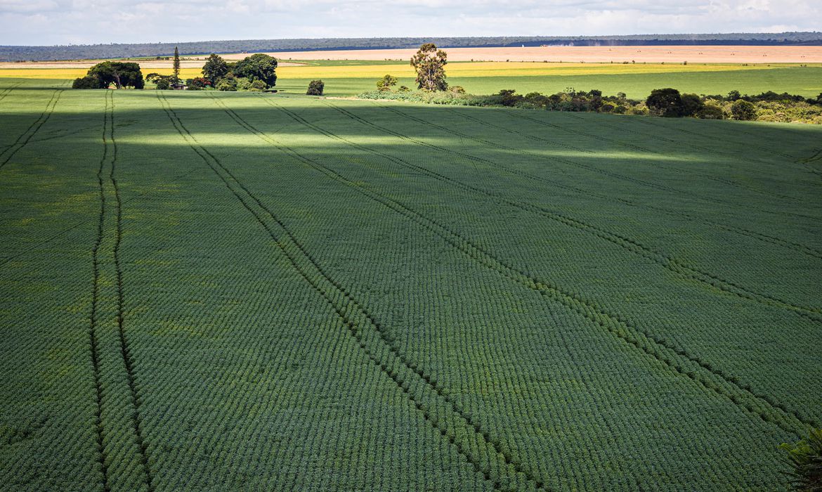 Guaicurus News - Senado aprova mudança no cálculo do preço mínimo de produtos agrícolas