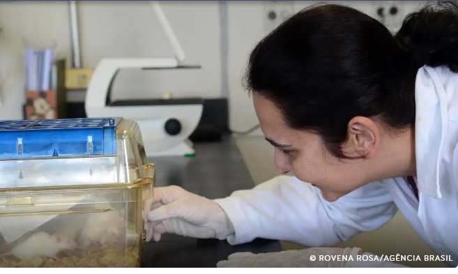 Guaicurus News - Tecidos feitos em laboratório podem aperfeiçoar testes de medicamentos