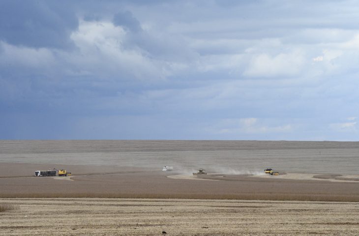 Guaicurus News - Agronegócio deve puxar PIB do MS, com previsão de crescer 5,5%