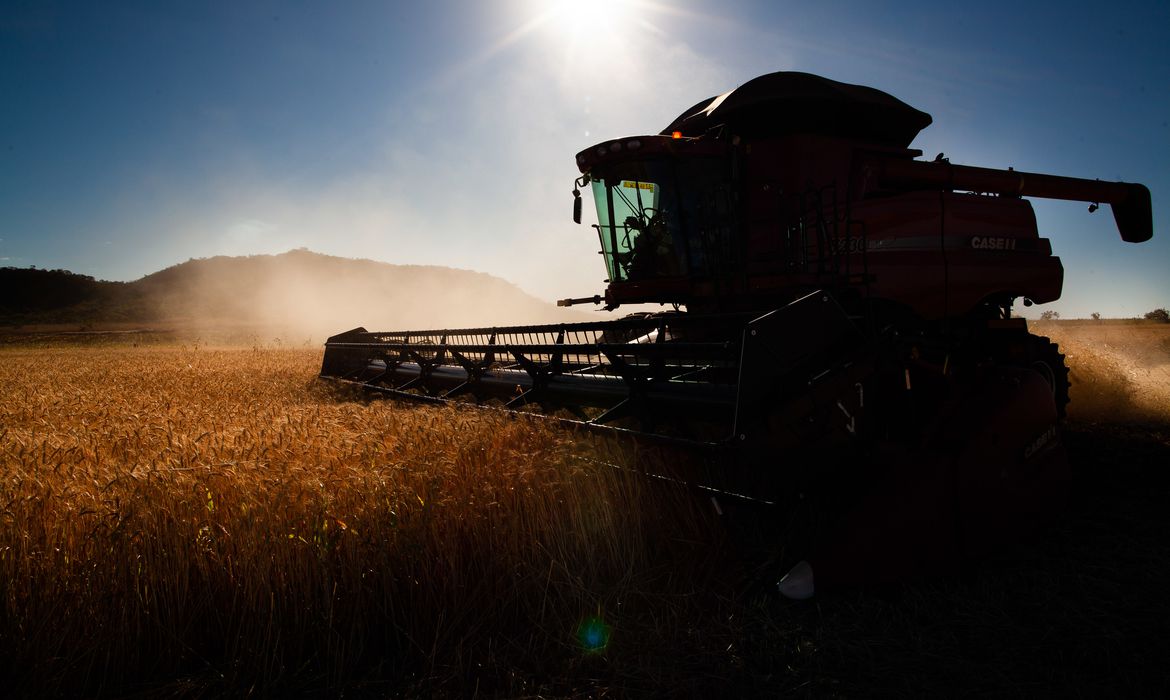 Guaicurus News - Governo faz ajustes em programas de concessão de crédito rural