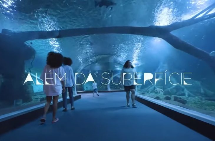 Guaicurus News - Filme sobre Bioparque Pantanal vence premiação em Festival Internacional de Cinema e Turismo